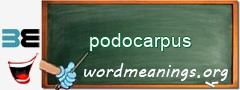 WordMeaning blackboard for podocarpus